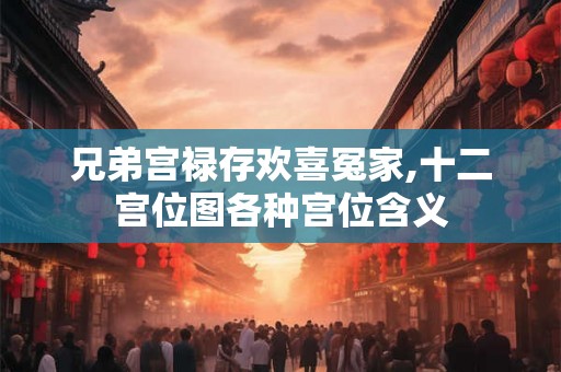 兄弟宫禄存欢喜冤家,十二宫位图各种宫位含义