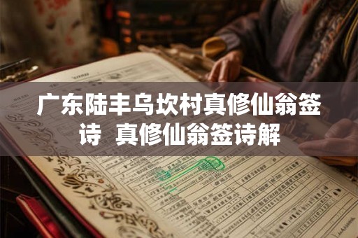 广东陆丰乌坎村真修仙翁签诗  真修仙翁签诗解