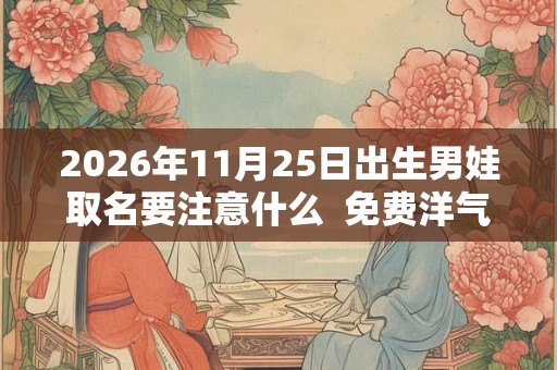 2026年11月25日出生男娃取名要注意什么 免费洋气名字推荐 2026年11月25日出生男娃取名要注意什么 免费洋气名字推荐