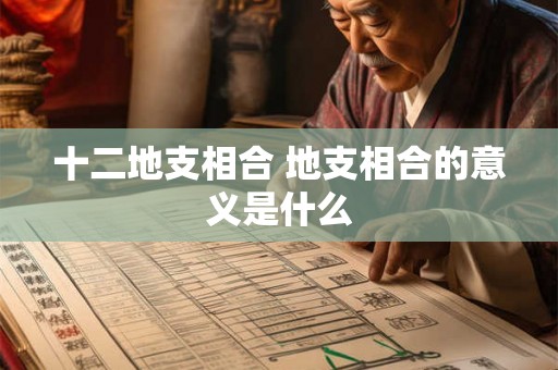 十二地支相合 地支相合的意义是什么