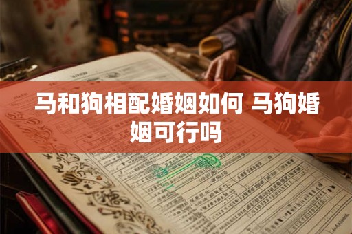 马和狗相配婚姻如何 马狗婚姻可行吗