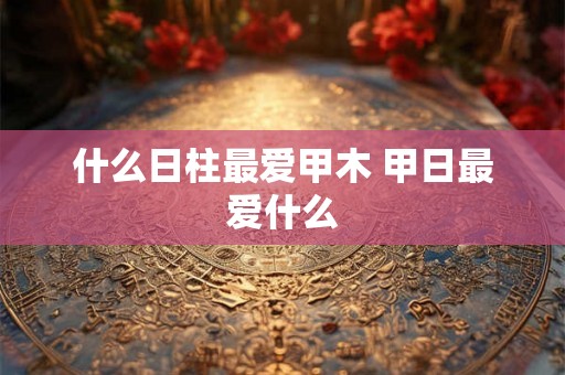 什么日柱最爱甲木 甲日最爱什么
