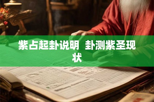 紫占起卦说明  卦测紫圣现状