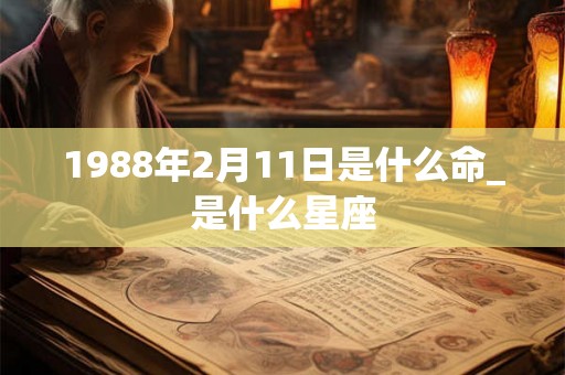 1988年2月11日是什么命_是什么星座