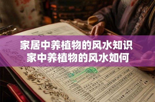 家居中养植物的风水知识 家中养植物的风水如何
