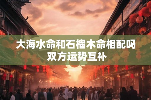 大海水命和石榴木命相配吗 双方运势互补