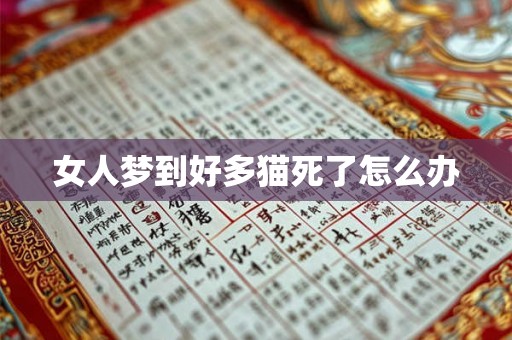 女人梦到好多猫死了怎么办