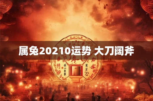 属兔20210运势 大刀阔斧