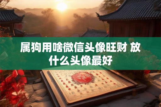 属狗用啥微信头像旺财 放什么头像最好