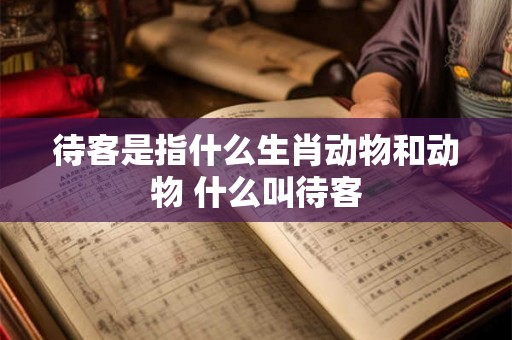 待客是指什么生肖动物和动物 什么叫待客