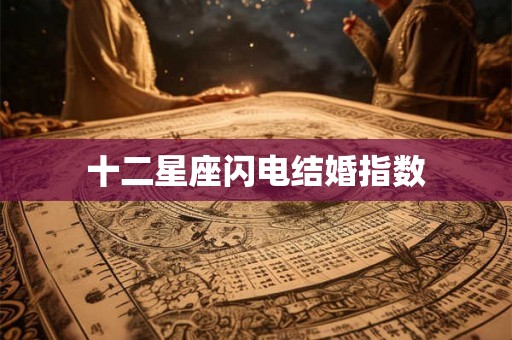 十二星座闪电结婚指数
