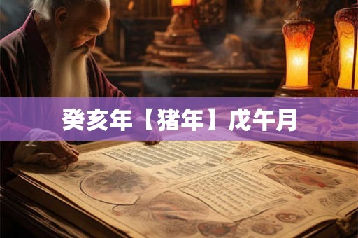 癸亥年【猪年】戊午月 癸亥年【猪年】戊午月