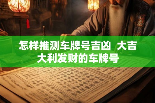 怎样推测车牌号吉凶 大吉大利发财的车牌号 怎样推测车牌号吉凶 大吉大利发财的车牌号
