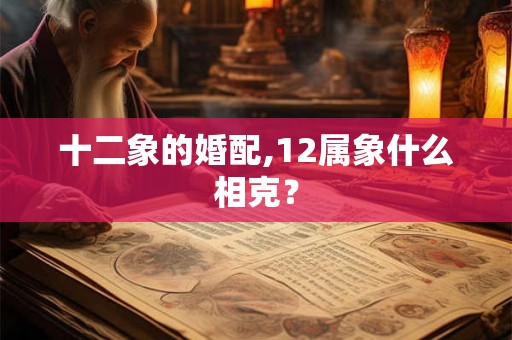 十二象的婚配,12属象什么相克? 十二象的婚配,12属象什么相克?