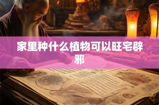 家里种什么植物可以旺宅辟邪