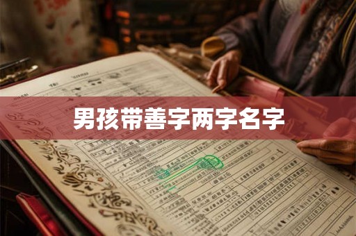 男孩带善字两字名字