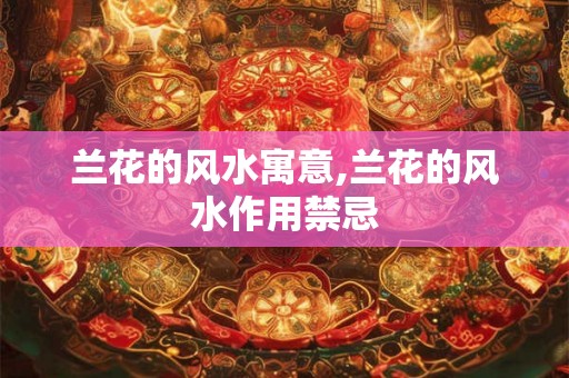 兰花的风水寓意,兰花的风水作用禁忌