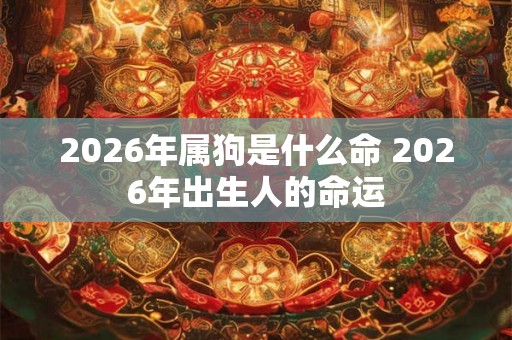 2026年属狗是什么命 2026年出生人的命运 2026年属狗是什么命 2026年出生人的命运