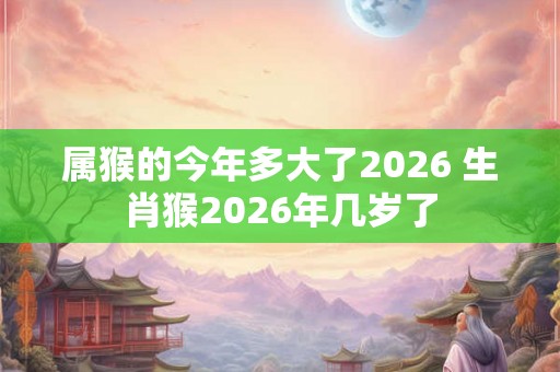属猴的今年多大了2026 生肖猴2026年几岁了