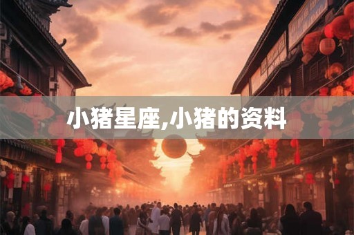 小猪星座,小猪的资料