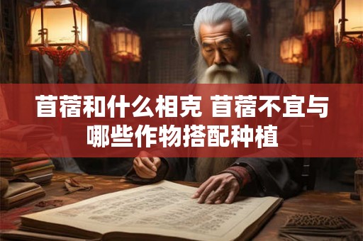 苜蓿和什么相克 苜蓿不宜与哪些作物搭配种植