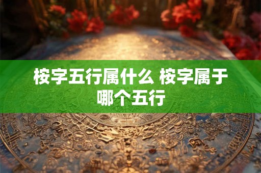 桉字五行属什么 桉字属于哪个五行 桉字五行属什么 桉字属于哪个五行