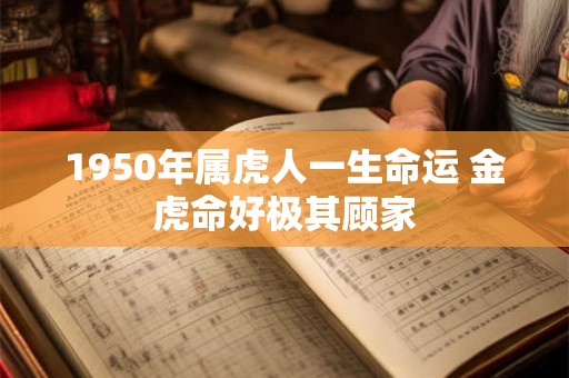 1950年属虎人一生命运 金虎命好极其顾家