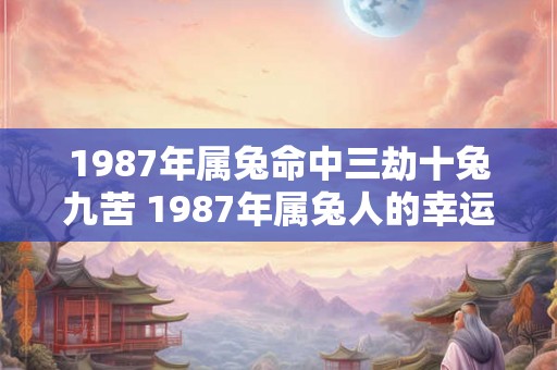 1987年属兔命中三劫十兔九苦 1987年属兔人的幸运数字
