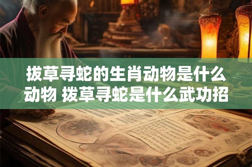 拔草寻蛇的生肖动物是什么动物 拨草寻蛇是什么武功招式