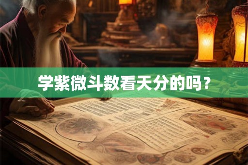 学紫微斗数看天分的吗？