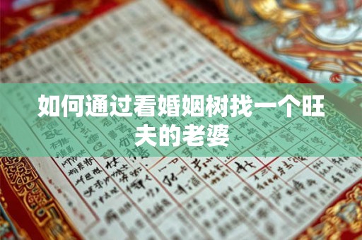 如何通过看婚姻树找一个旺夫的老婆
