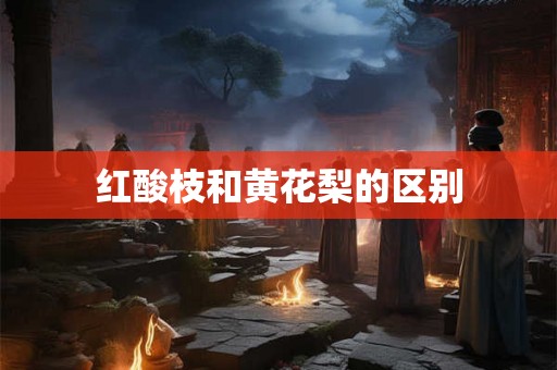 红酸枝和黄花梨的区别