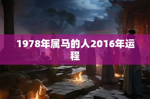 1978年属马的人2016年运程