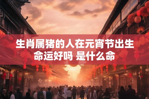生肖属猪的人在元宵节出生命运好吗 是什么命 生肖属猪的人在元宵节出生命运好吗 是什么命