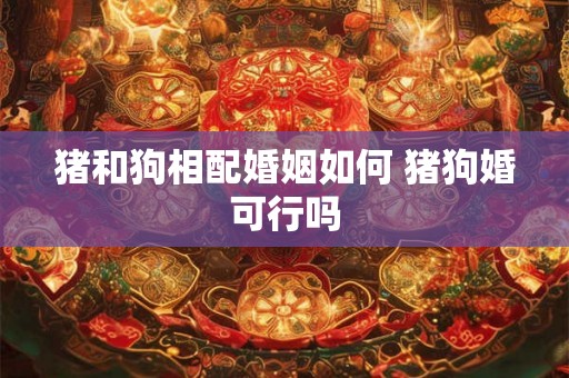 猪和狗相配婚姻如何 猪狗婚可行吗 猪和狗相配婚姻如何 猪狗婚可行吗