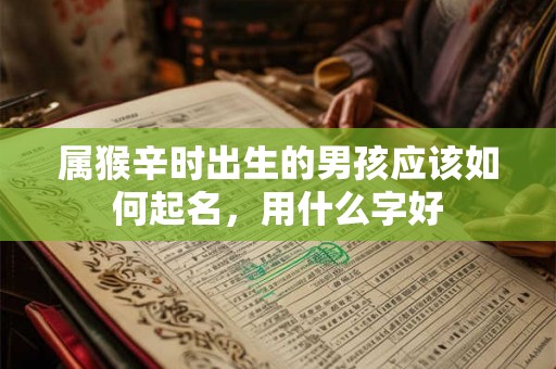 属猴辛时出生的男孩应该如何起名，用什么字好