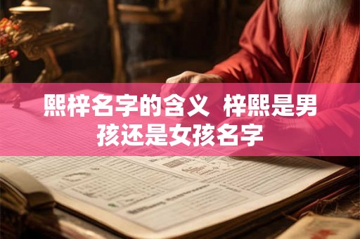 熙梓名字的含义 梓熙是男孩还是女孩名字 熙梓名字的含义 梓熙是男孩还是女孩名字