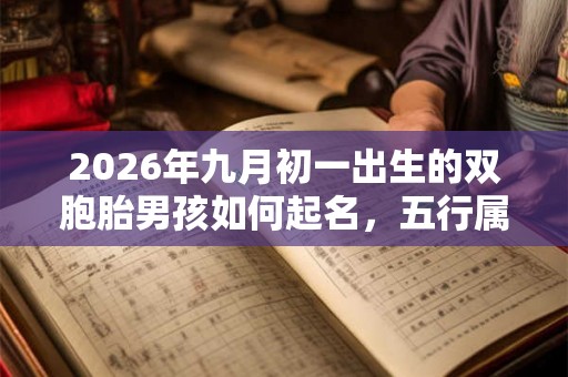 2026年九月初一出生的双胞胎男孩如何起名，五行属什么
