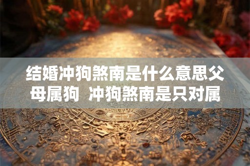 结婚冲狗煞南是什么意思父母属狗  冲狗煞南是只对属狗的不利吗