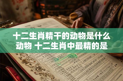 十二生肖精干的动物是什么动物 十二生肖中最精的是什