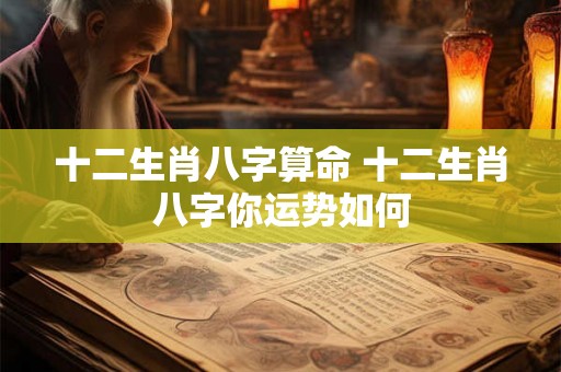 十二生肖八字算命 十二生肖八字你运势如何
