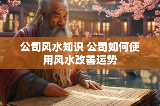 公司风水知识 公司如何使用风水改善运势 公司风水知识 公司如何使用风水改善运势