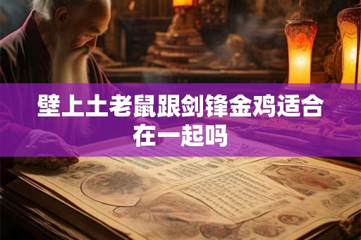 壁上土老鼠跟剑锋金鸡适合在一起吗