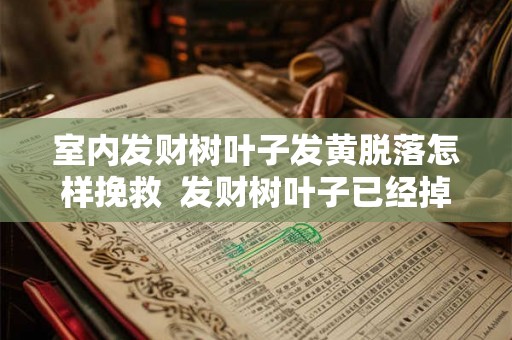 室内发财树叶子发黄脱落怎样挽救  发财树叶子已经掉光的处理