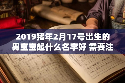 2019猪年2月17号出生的男宝宝起什么名字好 需要注意什么 2019猪年2月17号出生的男宝宝起什么名字好 需要注意什么