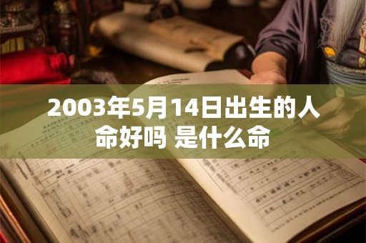 2003年5月14日出生的人命好吗 是什么命