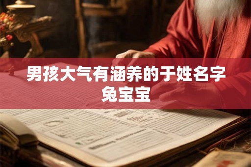 男孩大气有涵养的于姓名字兔宝宝