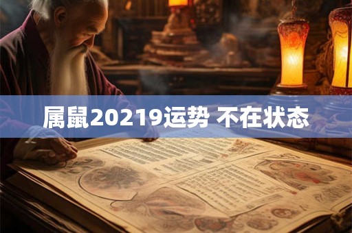 属鼠20219运势 不在状态 属鼠20219运势 不在状态