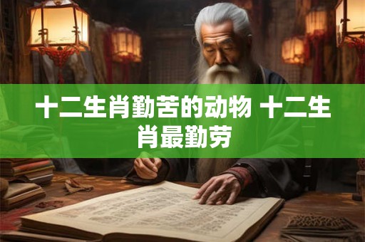 十二生肖勤苦的动物 十二生肖最勤劳