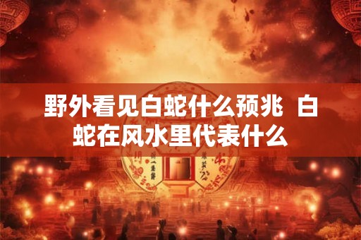 野外看见白蛇什么预兆  白蛇在风水里代表什么
